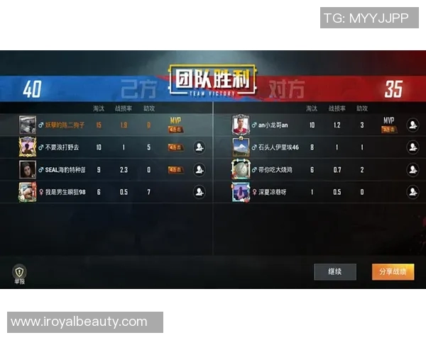 和平精英新手必看团队协作技巧与策略全面解析