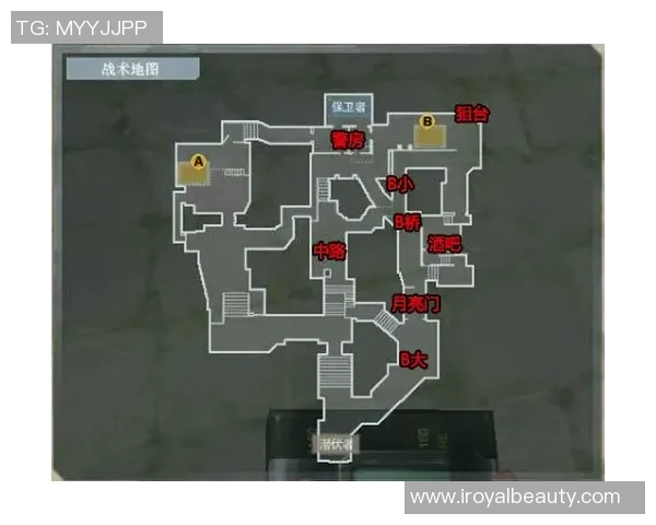 成都篮球队进攻战术解析与深度剖析助力球队崛起之路