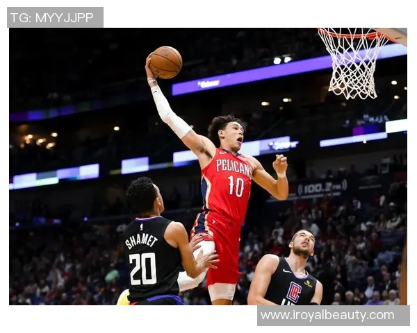 博格丹博格达诺维奇的篮球之路与成就探析