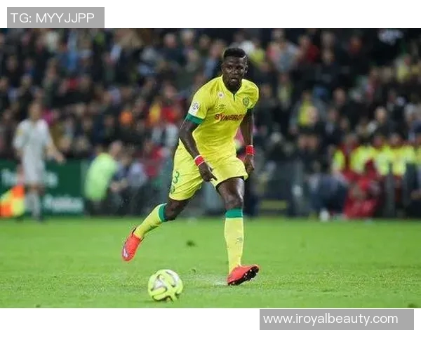 尼斯与第戎精彩对决直播全程回顾及赛后分析 尼斯与第戎精彩对决直播全程回顾及赛后分析