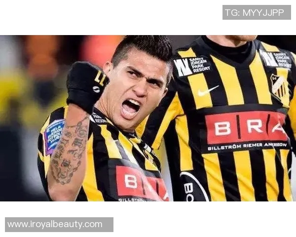 赫尔辛堡与天狼星2019年对决回顾及精彩瞬间分析 赫尔辛堡与天狼星2019年对决回顾及精彩瞬间分析