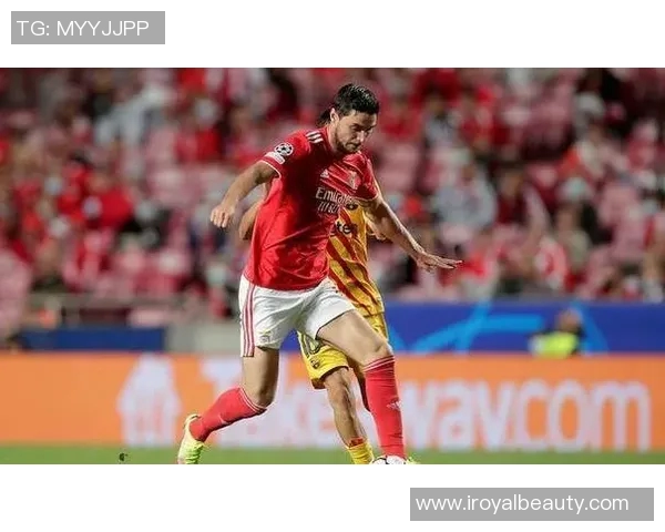 阿维斯对阵本菲卡精彩直播全程回顾与赛后分析 阿维斯对阵本菲卡精彩直播全程回顾与赛后分析