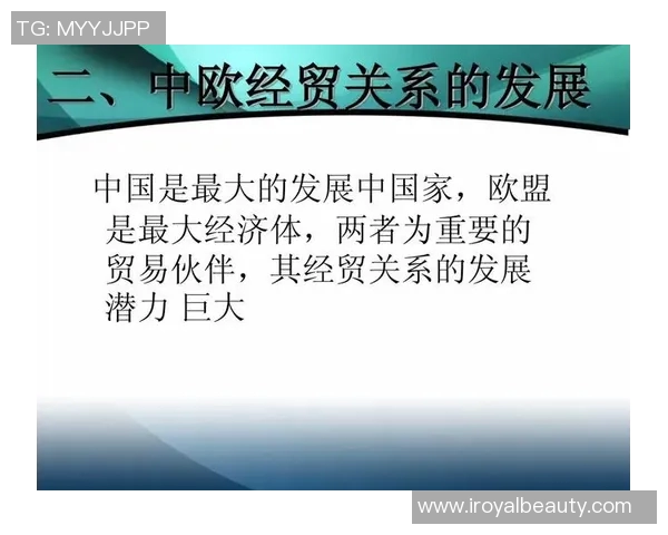 弗格的崛起与挑战：探索其在当代社会中的影响与未来发展潜力